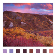 Cargar imagen en el visor de la galería, National Park Yarn Club (3rd Quarter)